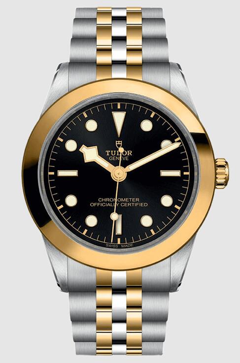 Tudor Black Bay 39 S&G 79663-0001 Replica Watch